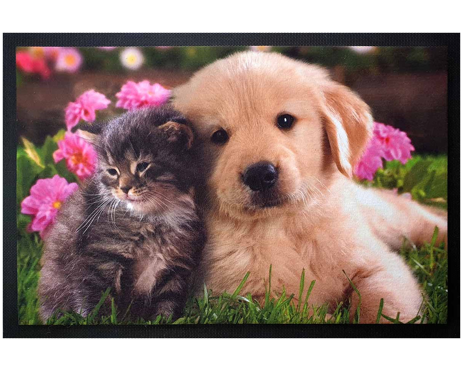 rohoze-s-vlastni-fotografii-1