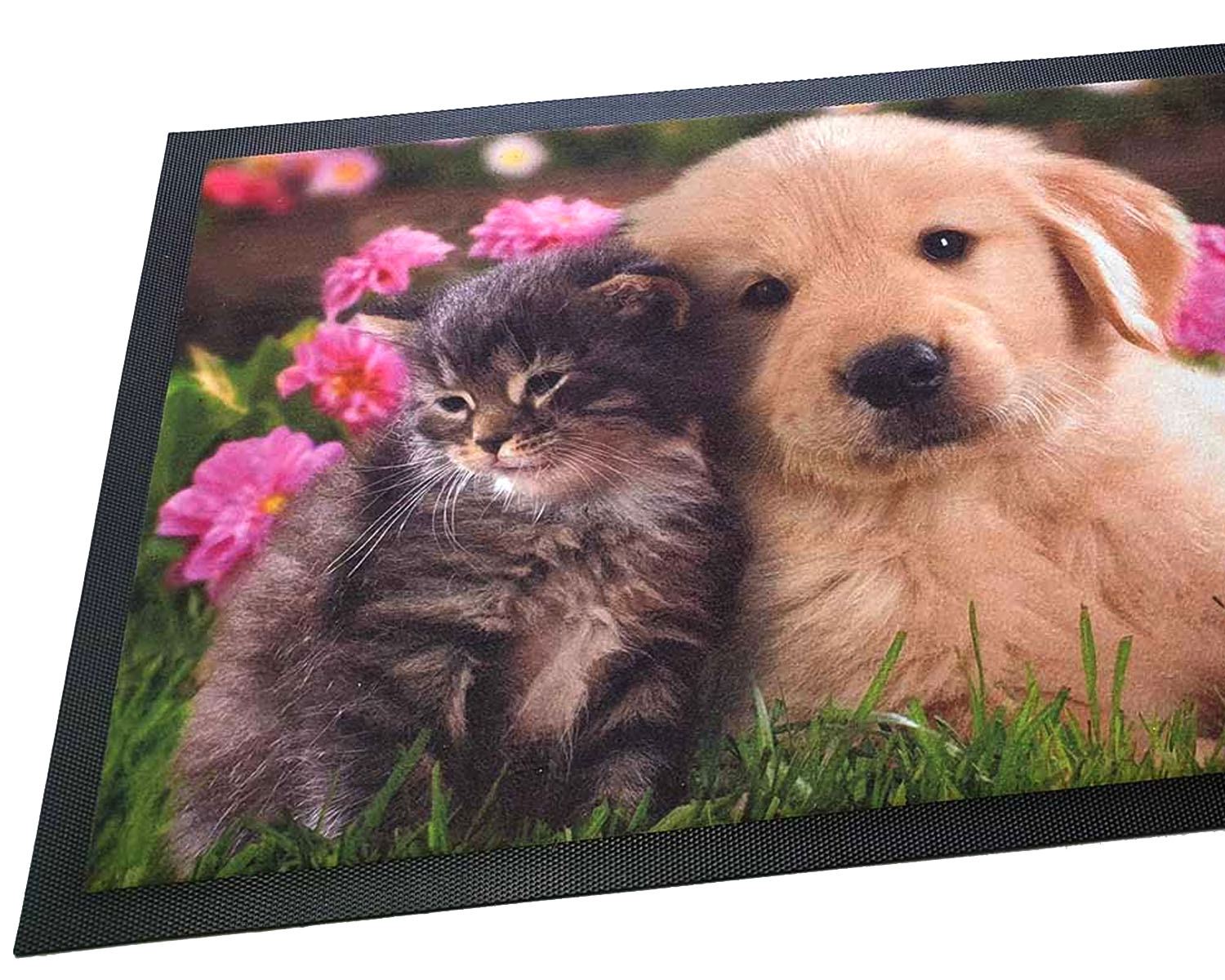 rohoze-s-vlastni-fotografii-2